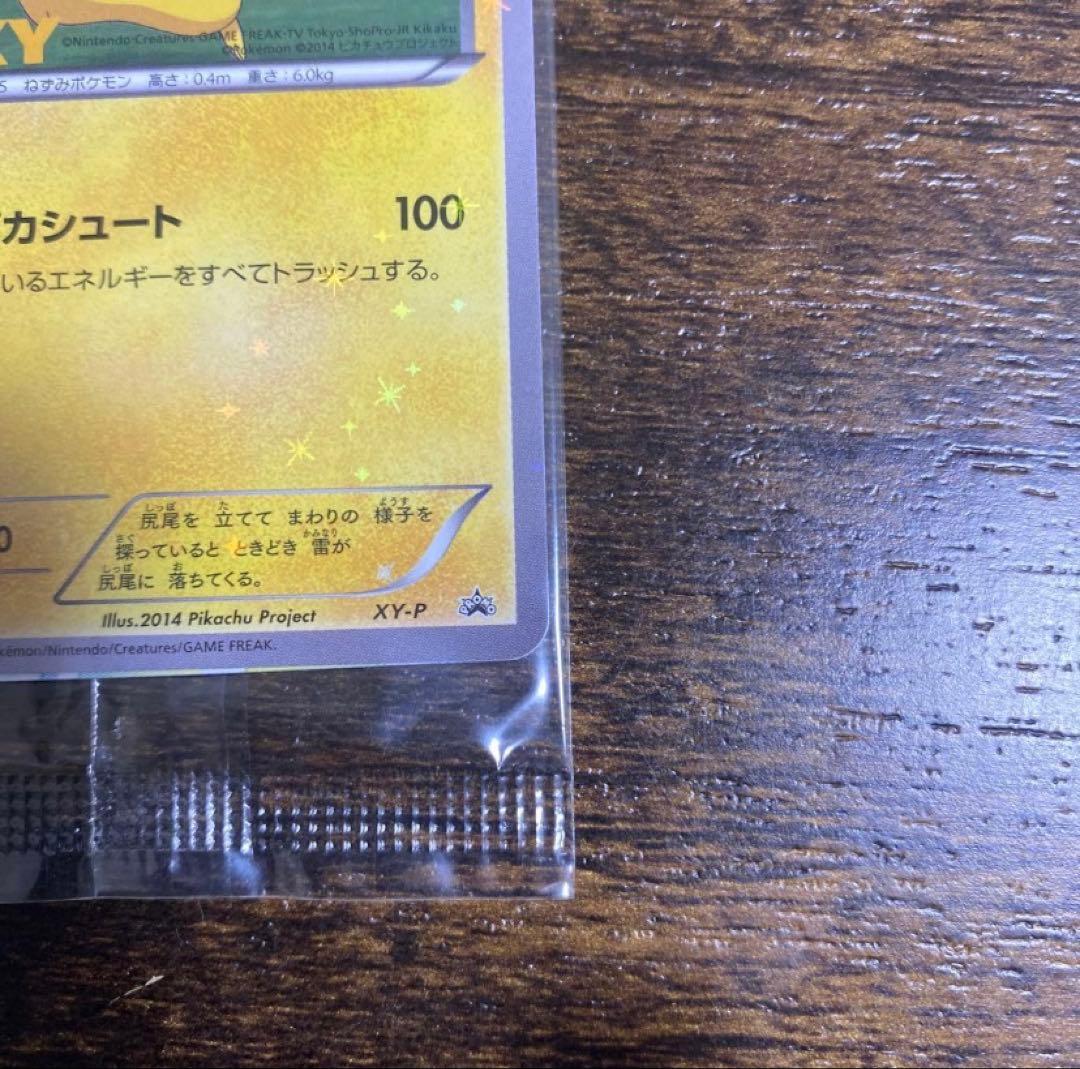 XY-P ピッチのピカチュウ_Jリーグ「ファミリー Joinデイズ」 PROM…