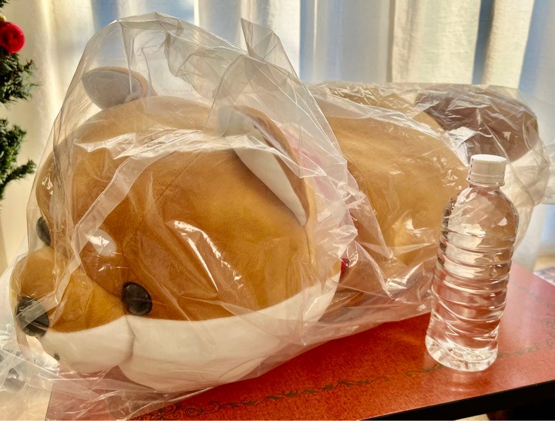 【新品】ハッピーまめしば特賞 柴犬 ぬいぐるみ