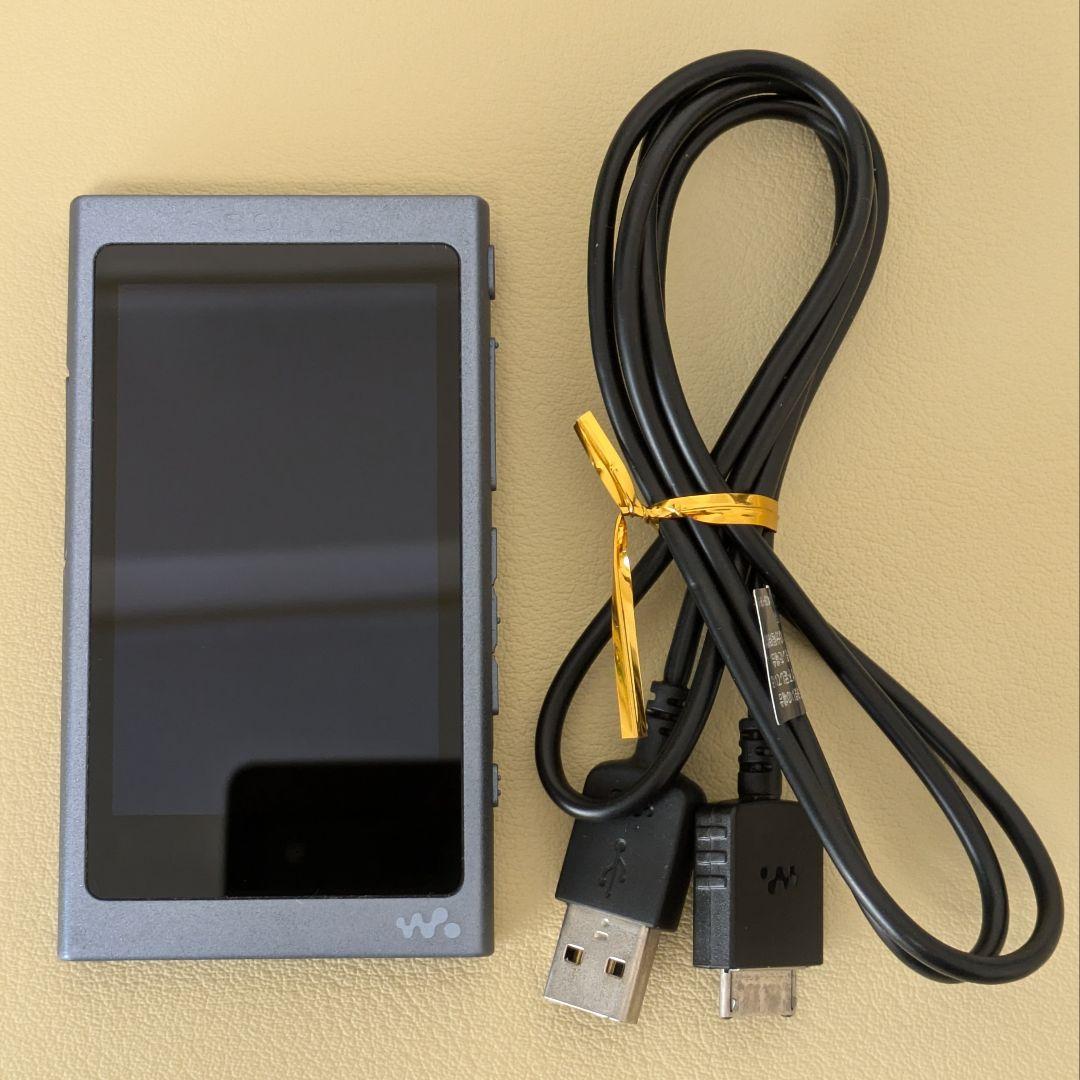 SONY ウォークマン NW-A45 ムーンリットブルー