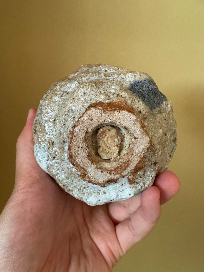 Simon manoha 茶碗　フランス人作家