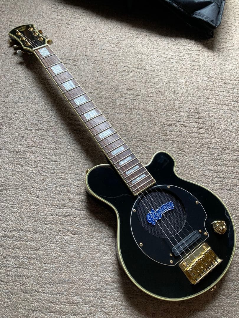 Pignose ブラック×ゴールド エレキギター専用ソフトケース有