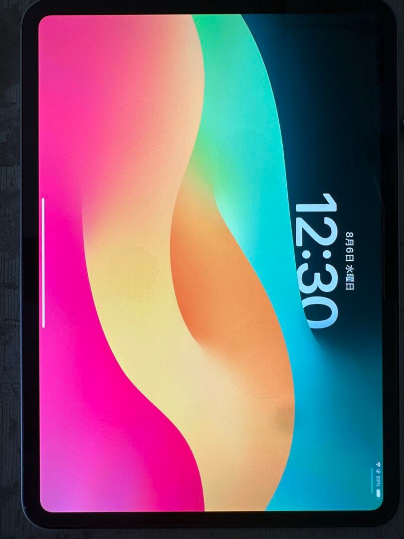 【最安値】iPad Pro11インチ 第5世代 M4チップ