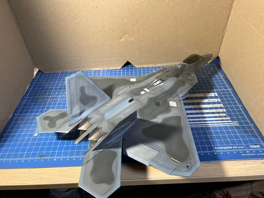 1/48 F-22 ラプター `ストライダー1`