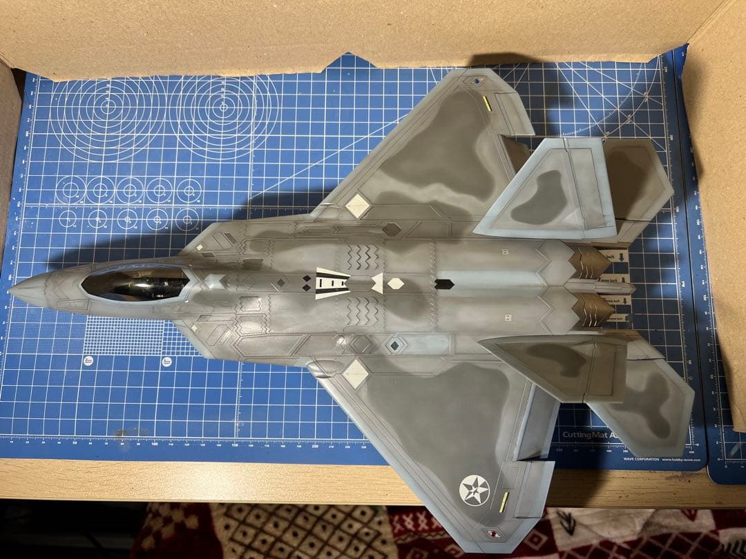 1/48 F-22 ラプター `ストライダー1`