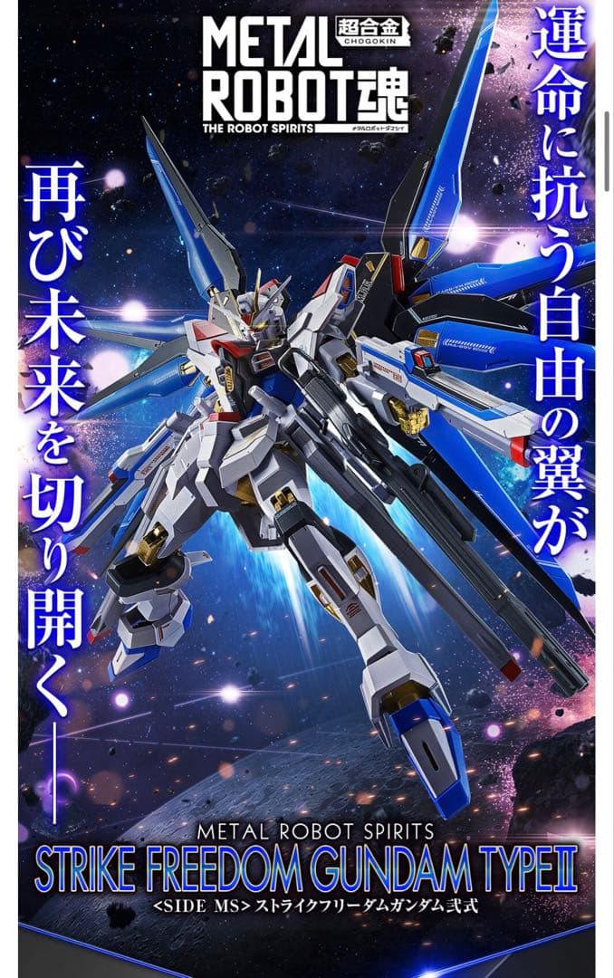 L ROBOT魂 SEED FREEDOM 3点セット