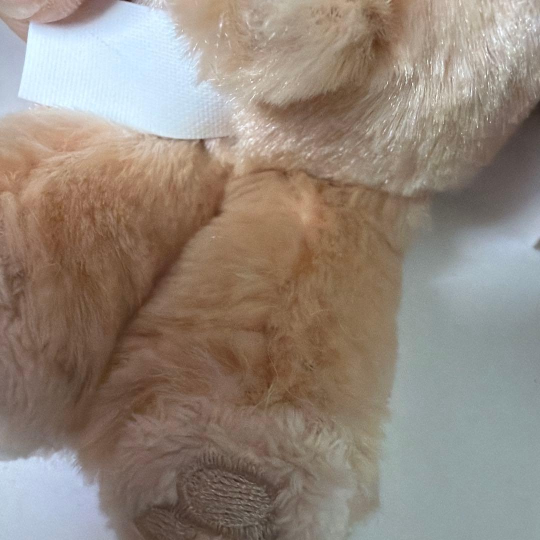 貴重品ジャンボリーナイトストラップ　ディズニーベア　東京ディズニーシー