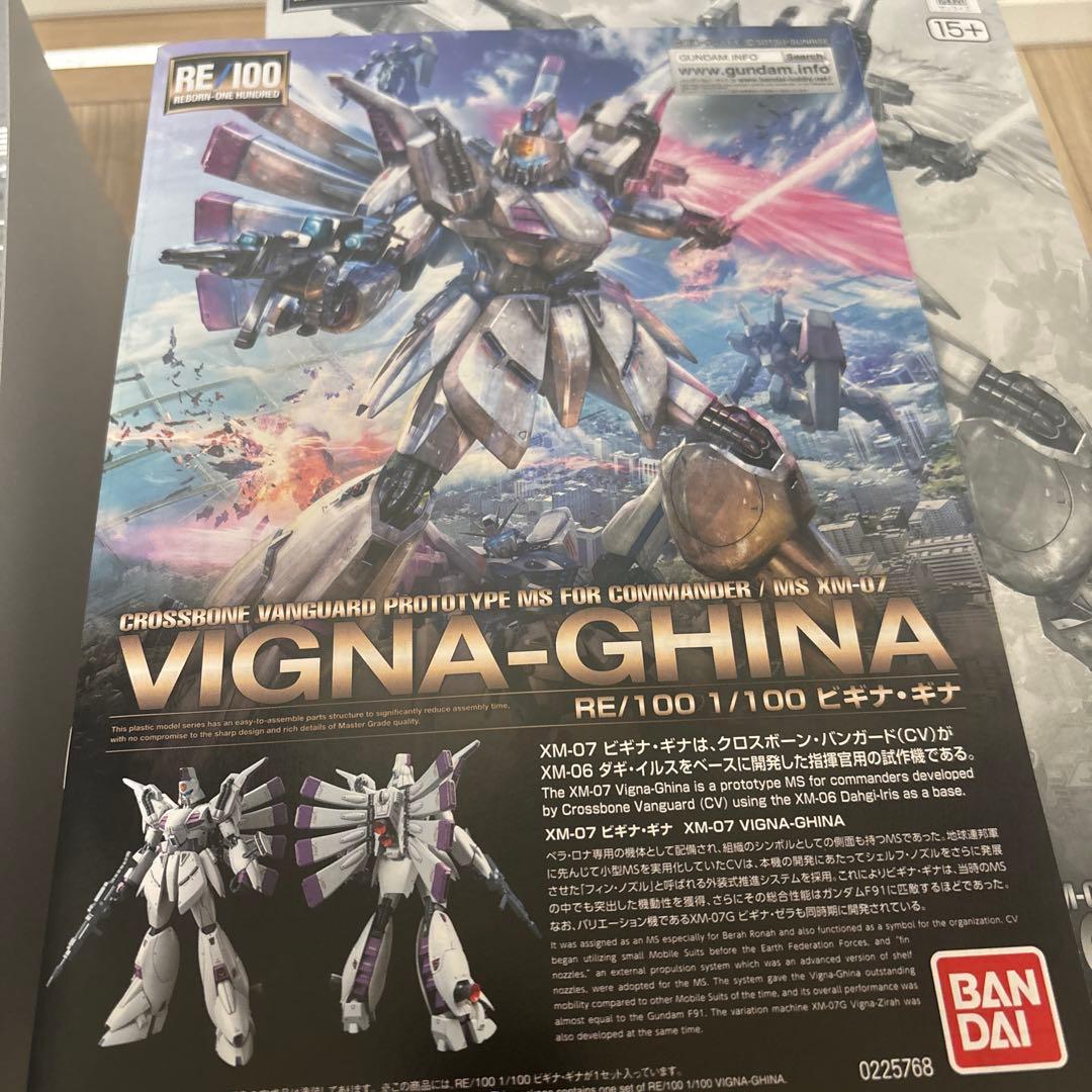 【未組立品】RE ビギナギナ エクストラフィニッシュ