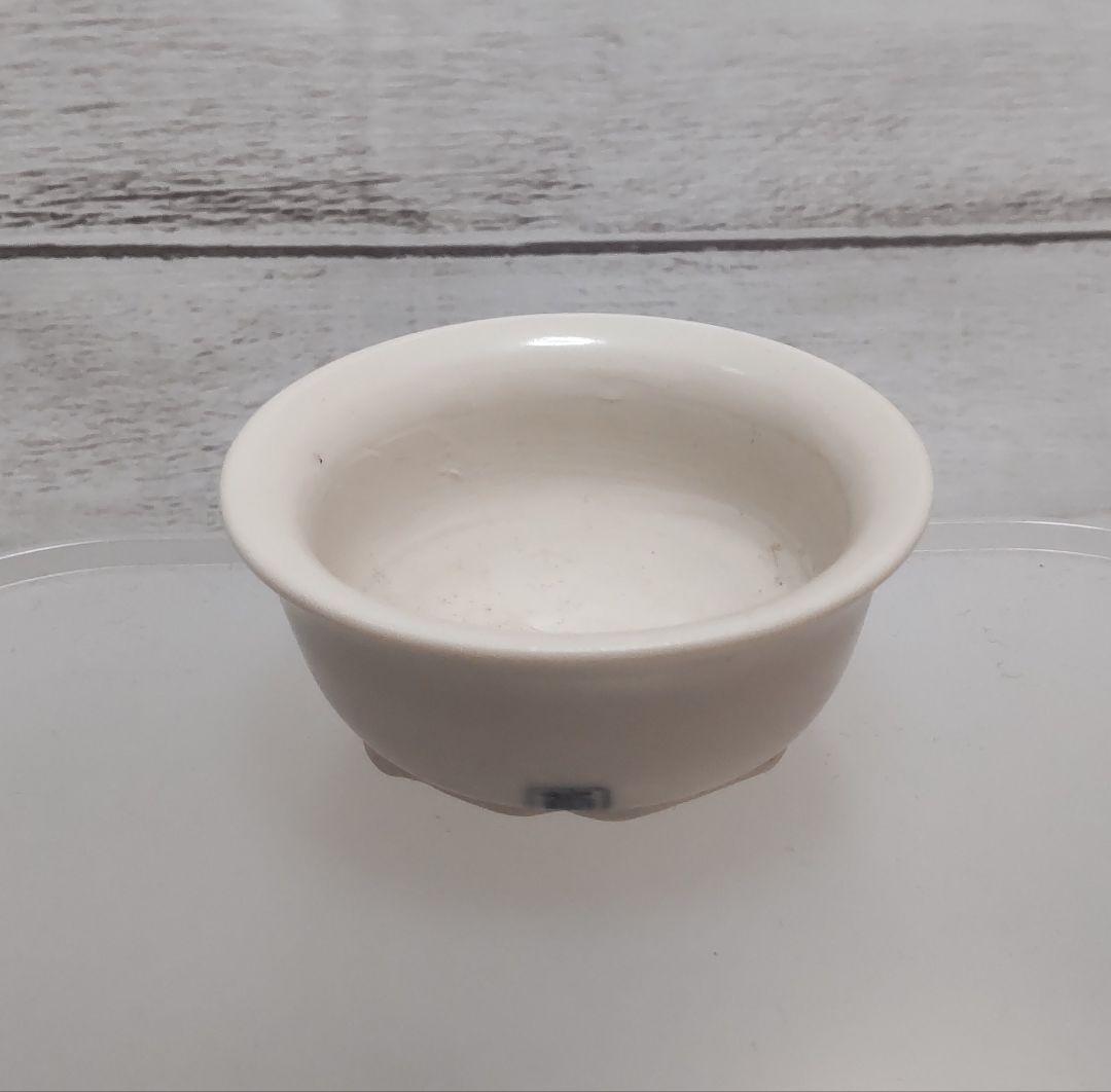 【レア】宗像一蒼×大島まゆみコラボ　ミニ盆栽鉢