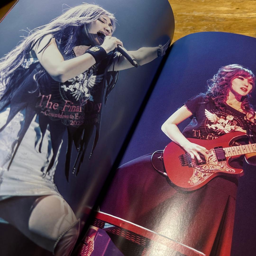 mary's blood final day　limited