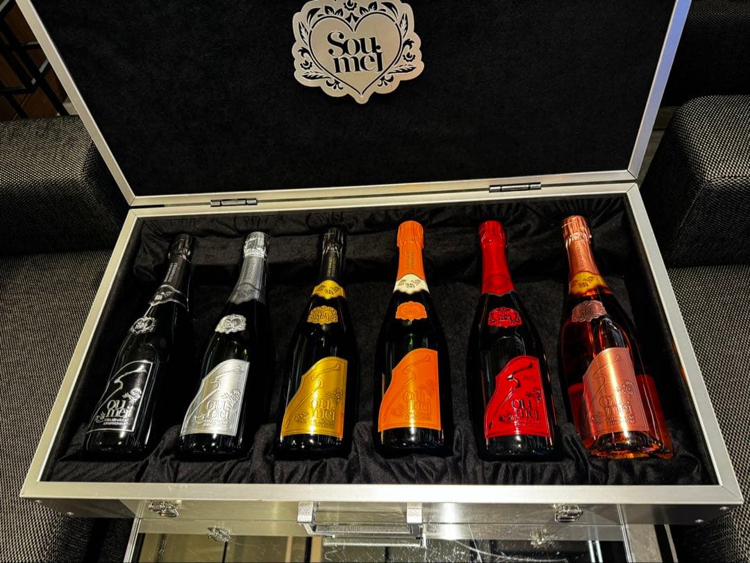 【新品】ソウメイ 6本セットアタッシュケース