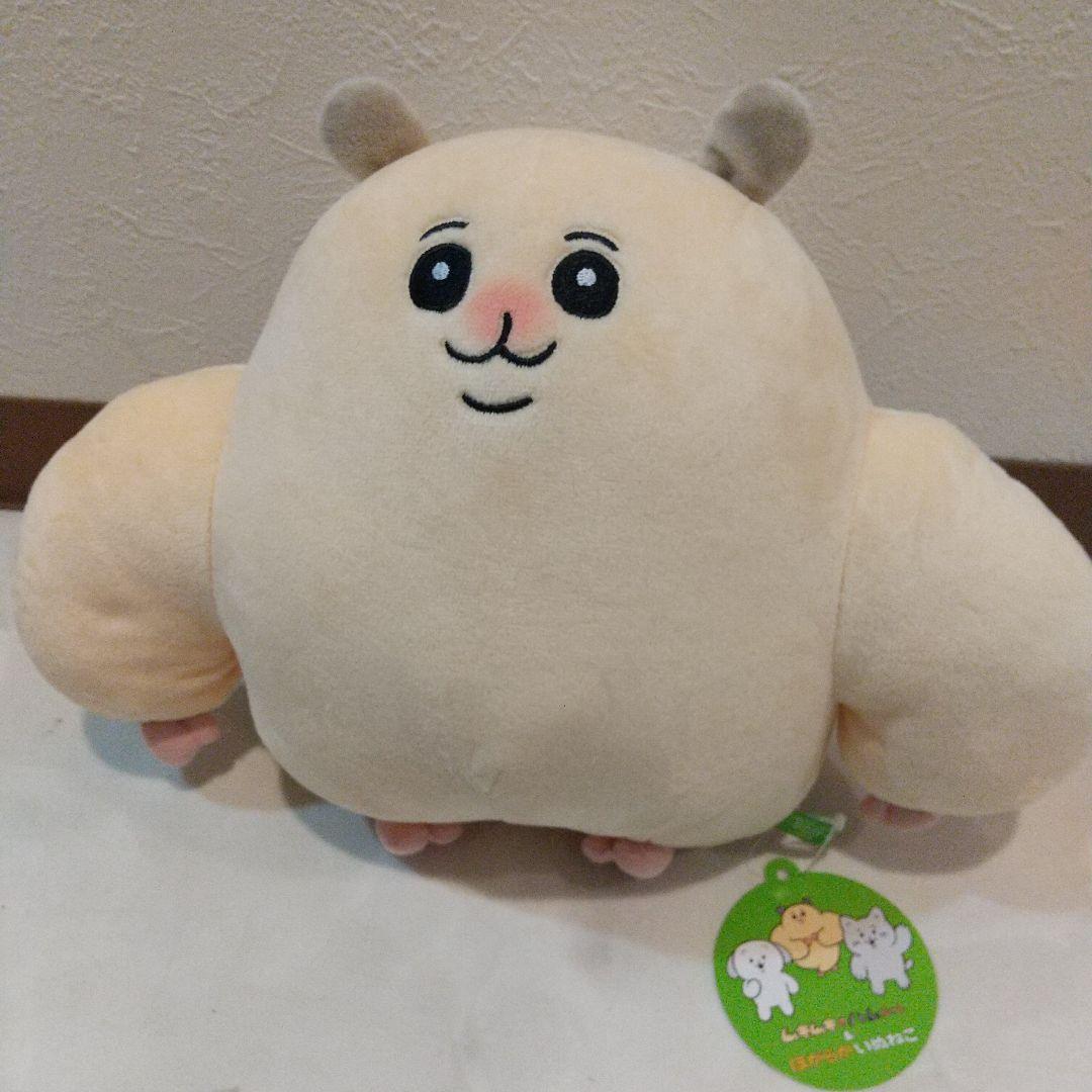 新品　ムキムキのハムちゃん　ほがらかいぬねこ　BIGぬいぐるみ　ラウンドワン限定