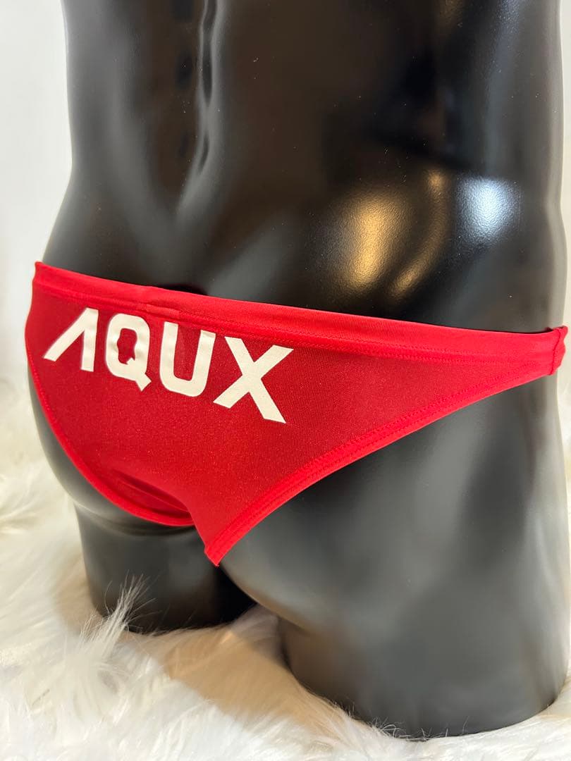 AQUX【新品未使用】完売品⭐︎Half Back Swim Sheer水着LL✨