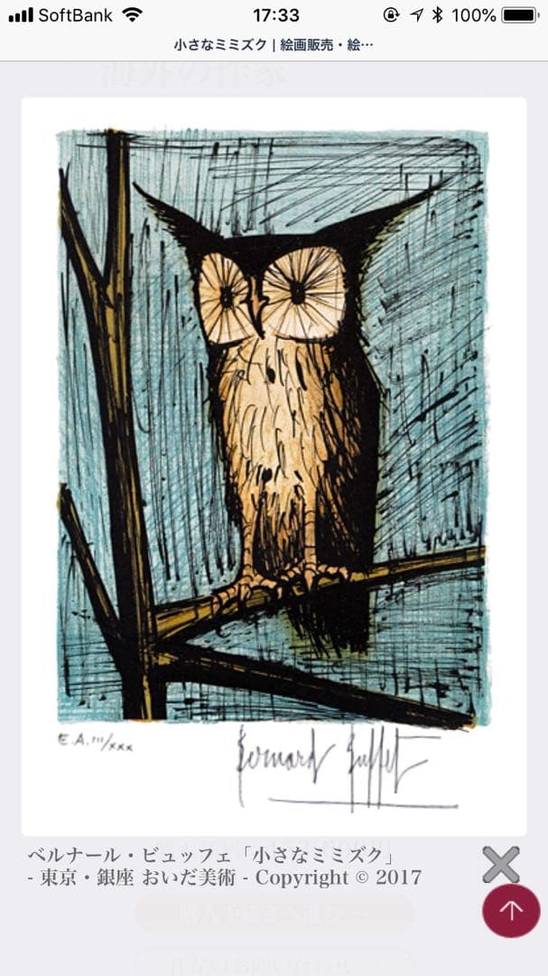 小さなミミズク