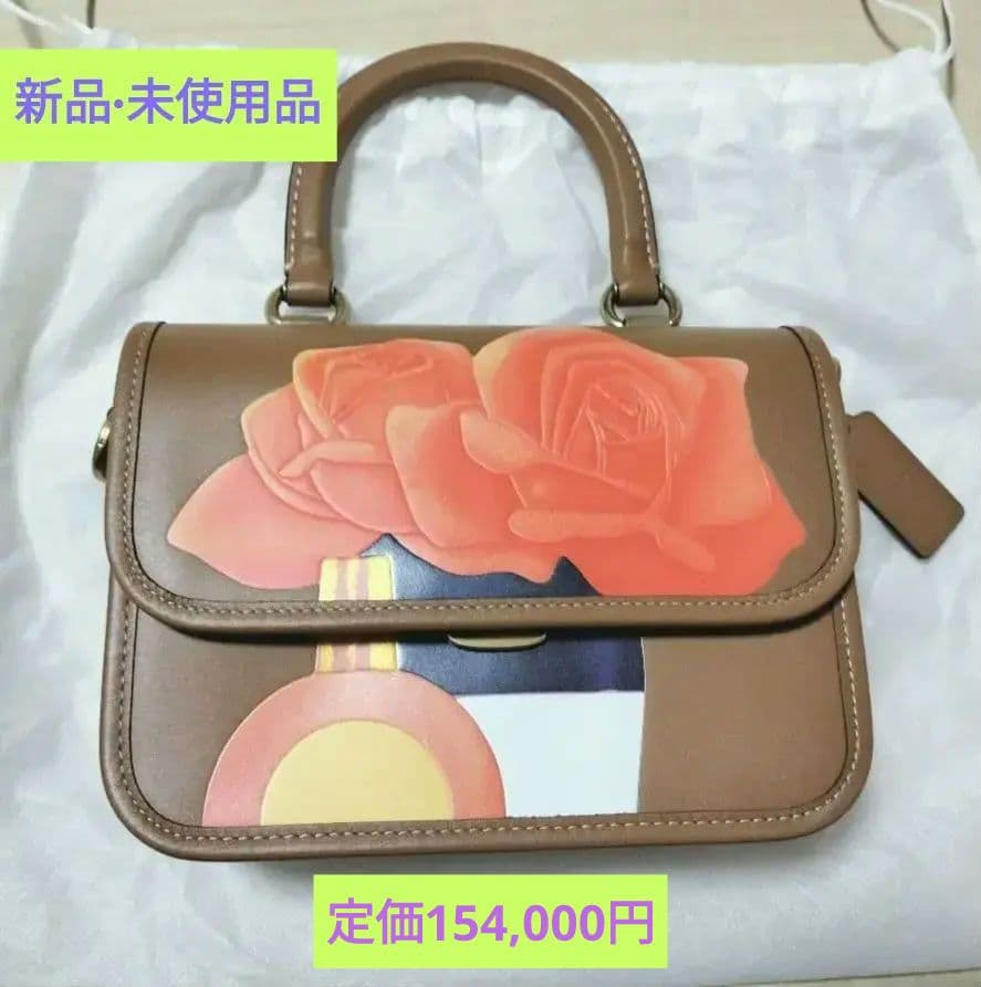 【希少】 COACH x Tom Wesselmann ローグトップハンドル