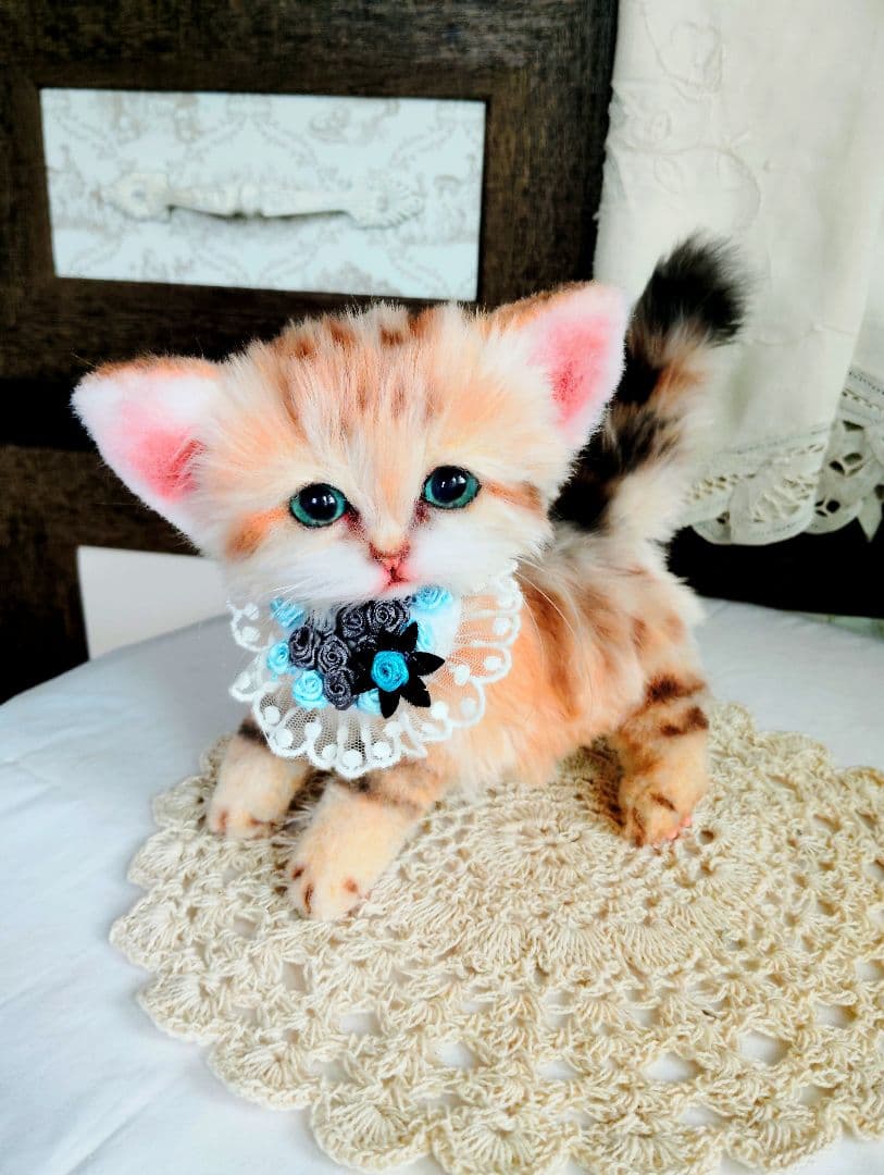 スナネコちゃん❤子猫♥まなあきちゃんご予約♥