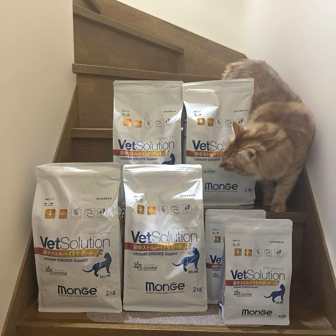 Monge VetSolution 尿中ストルバイトサポート 8.8kg
