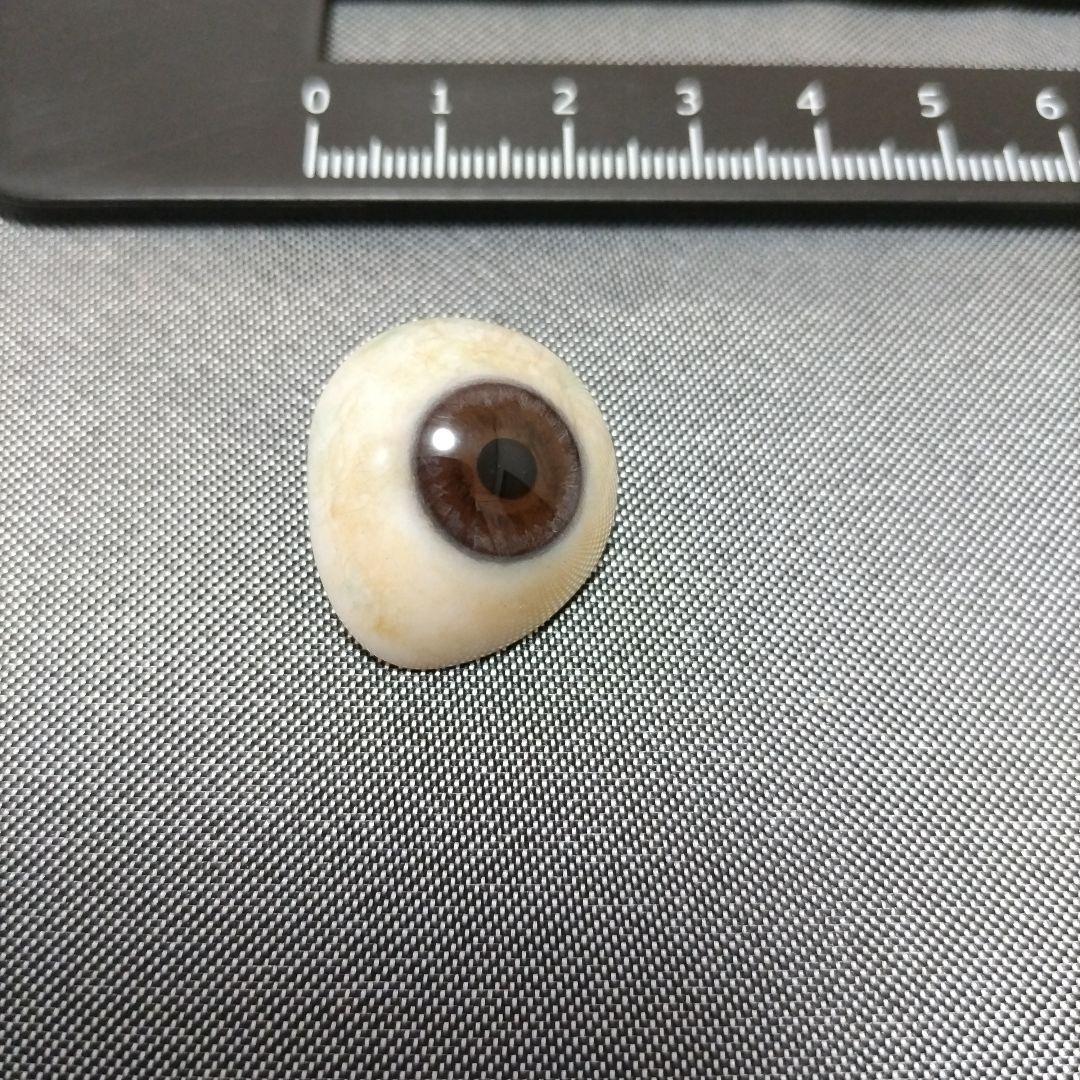 義眼　日本製　（KG）