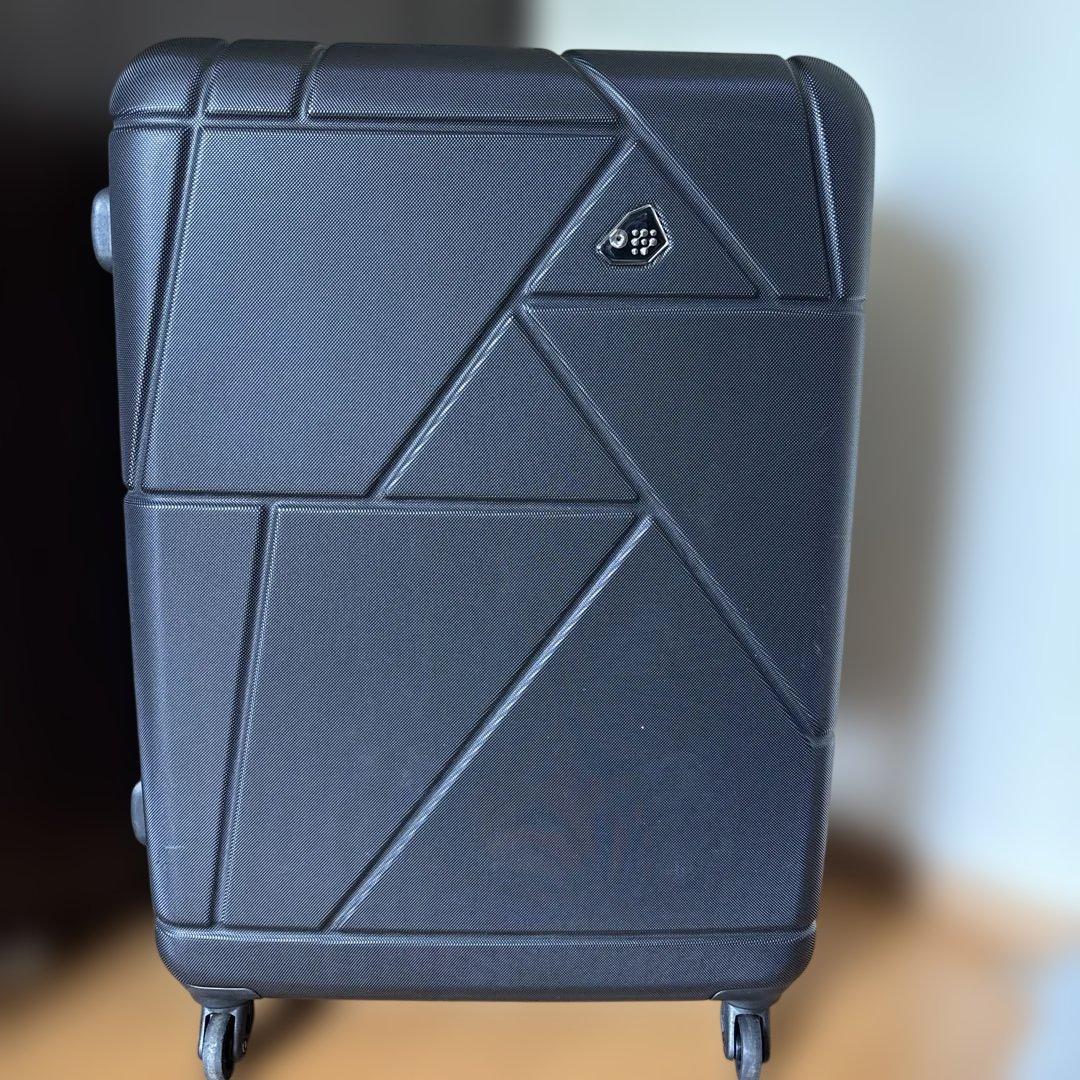 カメレオン　幾何学模様 ブラック キャリーケース　L