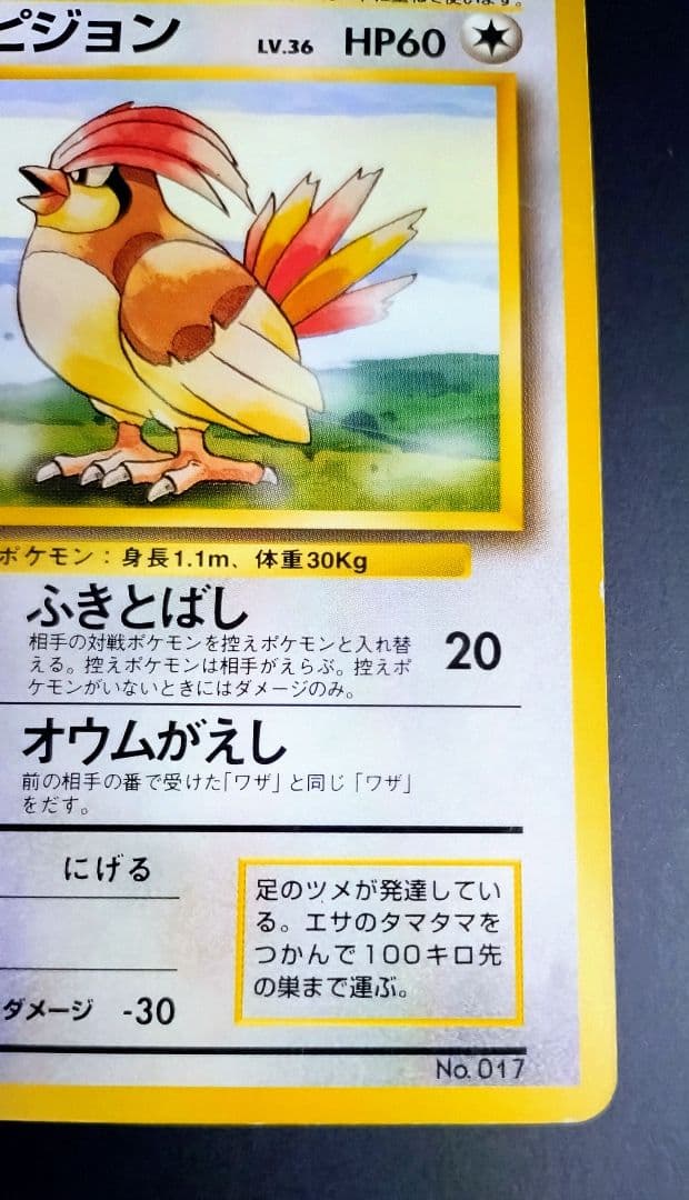 【星エラー有】【初版】ポケモンカード 旧裏 No.017 ピジョン LV.36