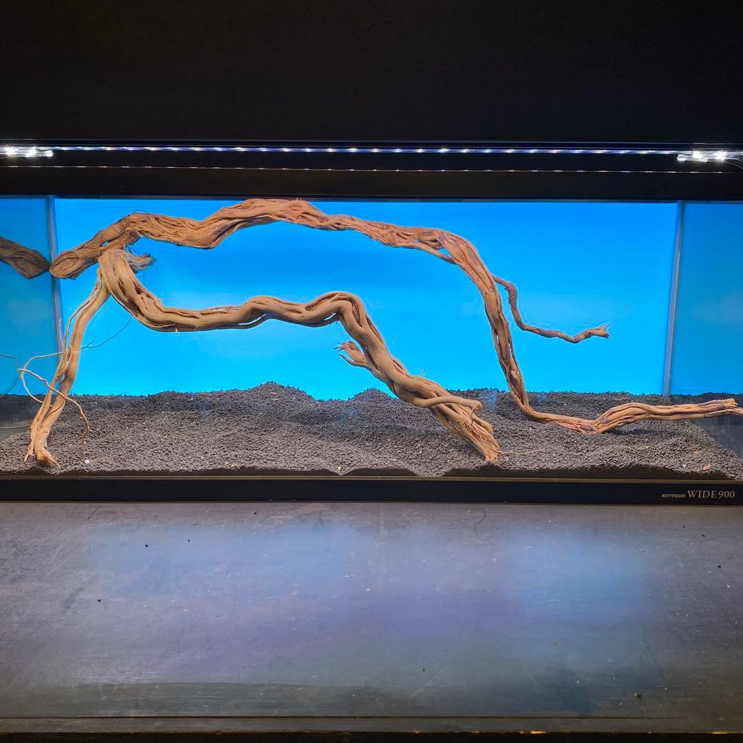 MTW-6751 蔦流木2本セット　90cm水槽用流木　アクアリウム