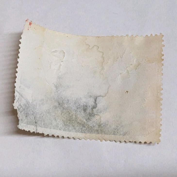 毛沢東主席　中国切手　消印あり　中華人民共和国