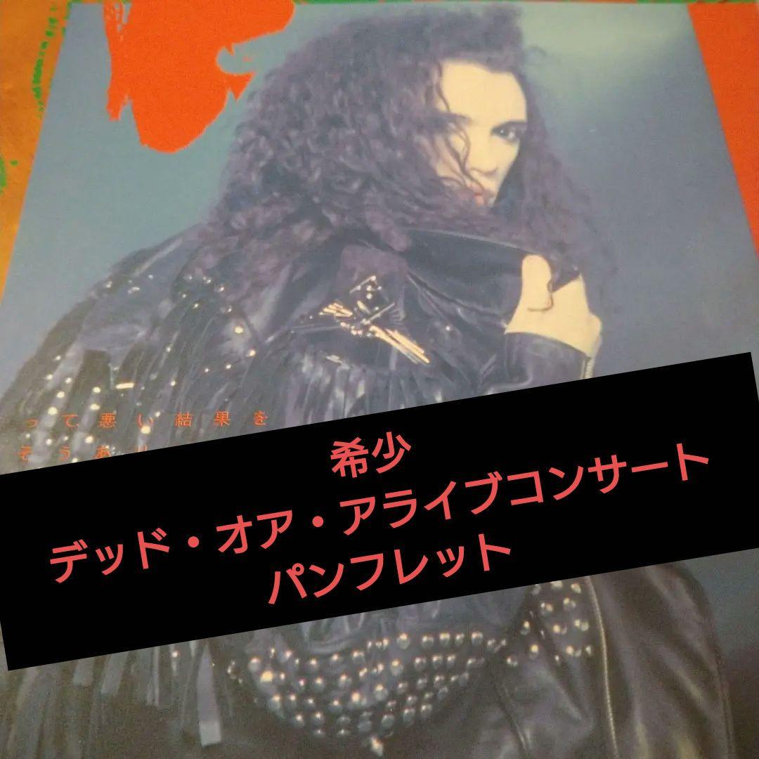 値下げ中★デッド・オア・アライブ　コンサートパンフレット