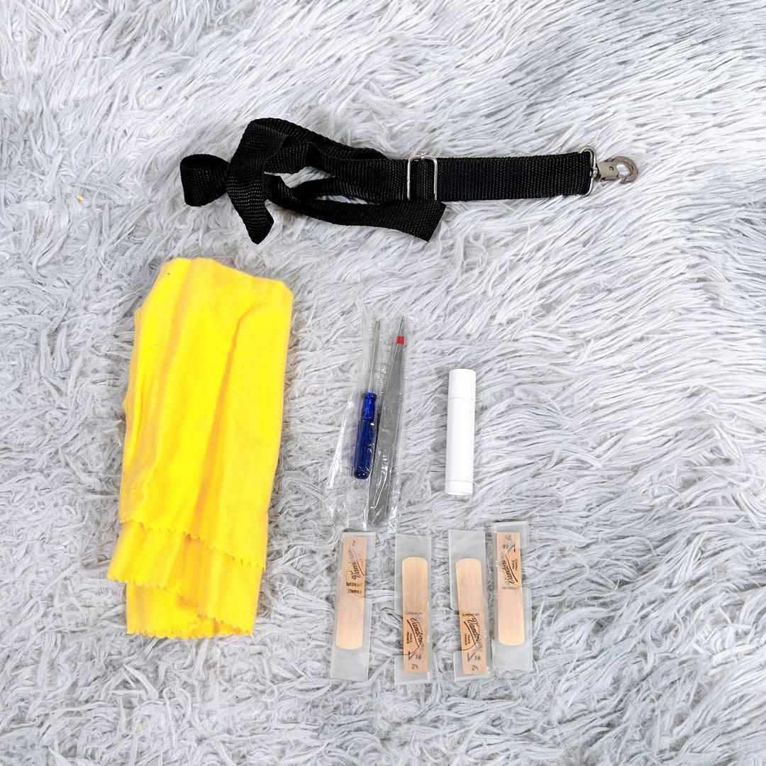 Kaerntner ケルントナー ソプラノサックス 現状品　ジャンク