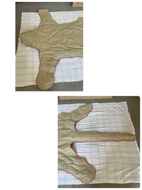 【希少】登録票付　爪付ヒョウ　剥製　敷物　ラグマット　214㌢ 毛皮　壁掛　豹