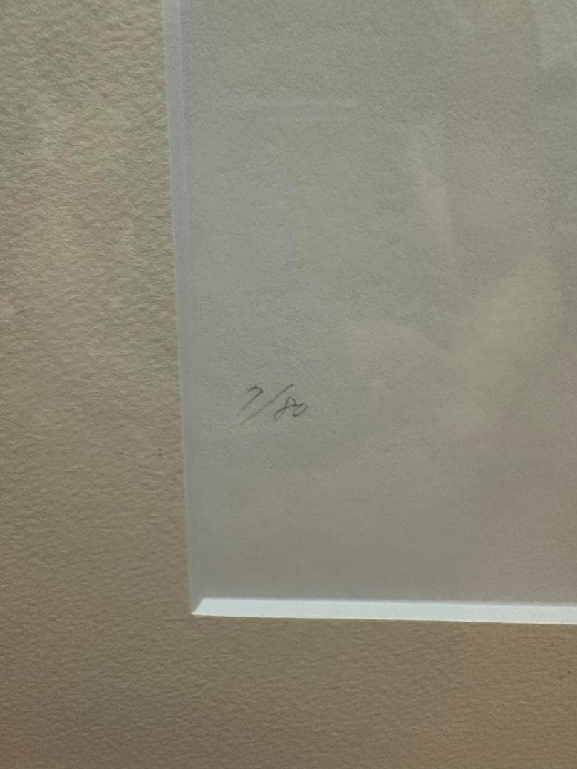 【美樹本晴彦】『超時空要塞マクロス』直筆サイン入り ジクレ版画 7/80 額装済