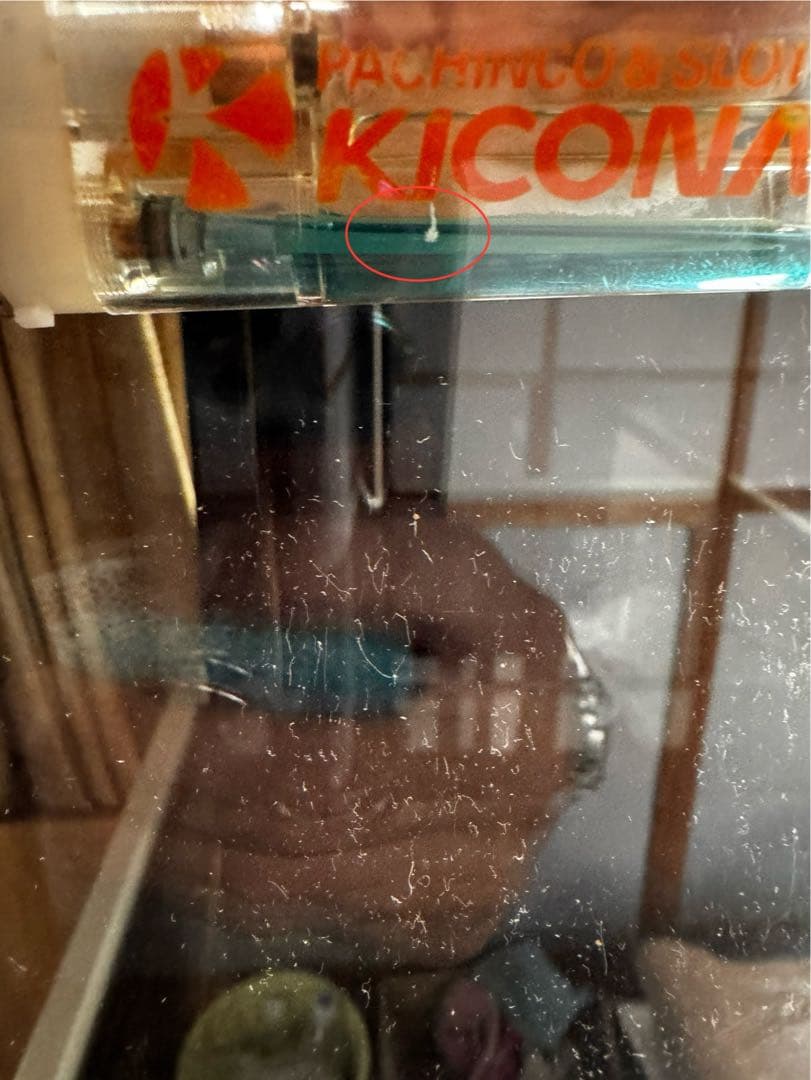 淡水使用。オルカT60OF水槽セットW60.D40.H50【引き取り限定】