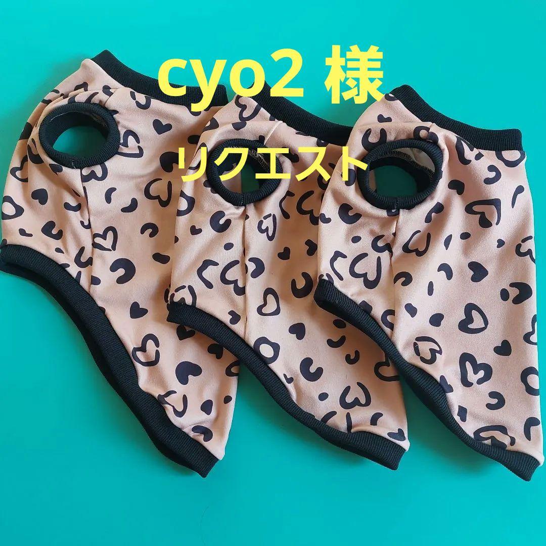 cyo2ページ