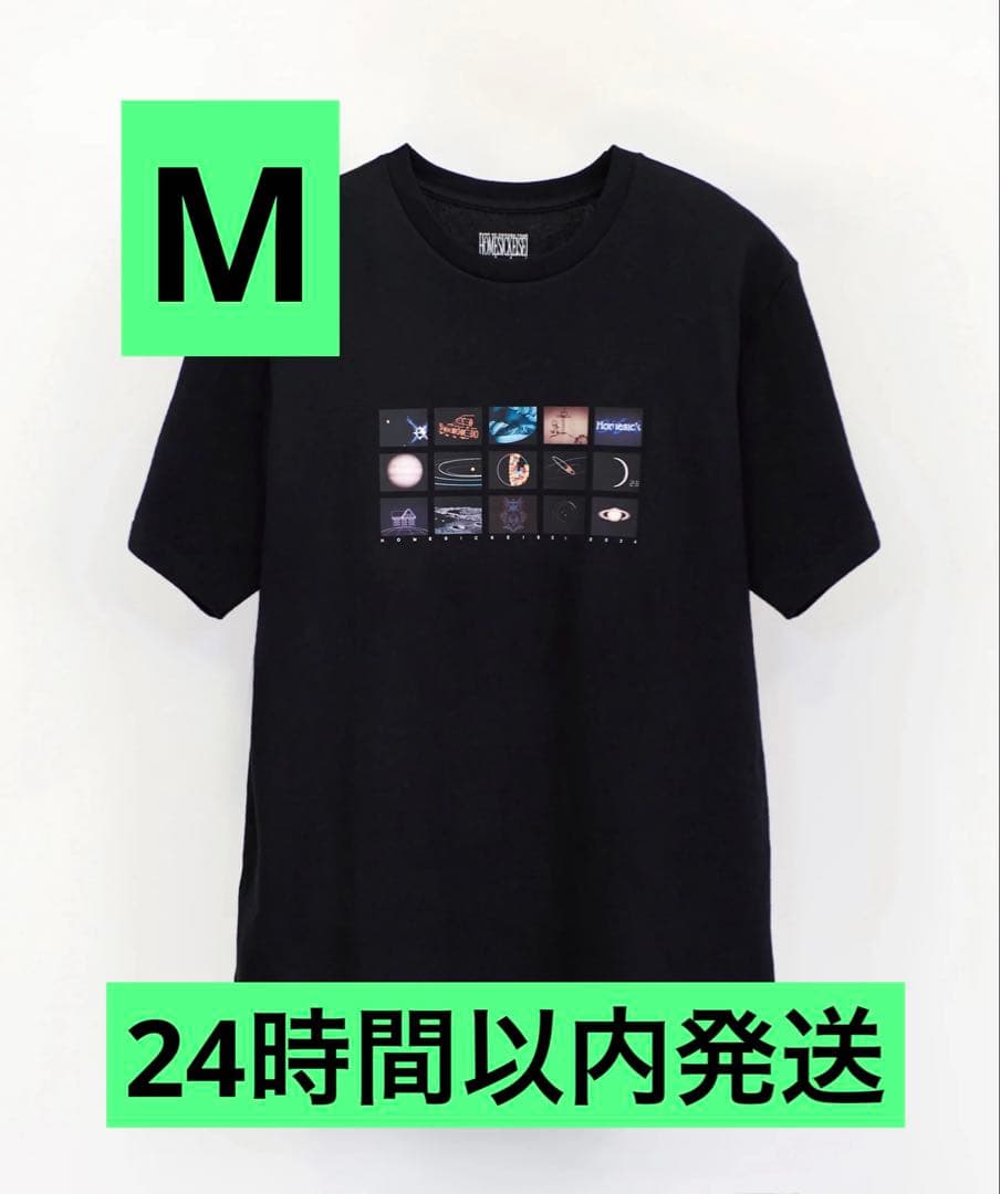 BUMP OF CHICKEN ホームシック衛星2024ファイナルTシャツ　M