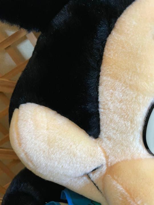 ディズニーランド♡ぬいぐるみ♡ミッキーマウス