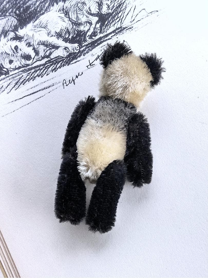 きっとあの子のお友達　ドイツのこぐま　シュコー　パンダ　 アンティーク　９ｃｍ