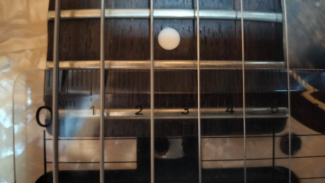 【Bacchus】T-HOLLOW テレキャスター HandmadeSeries