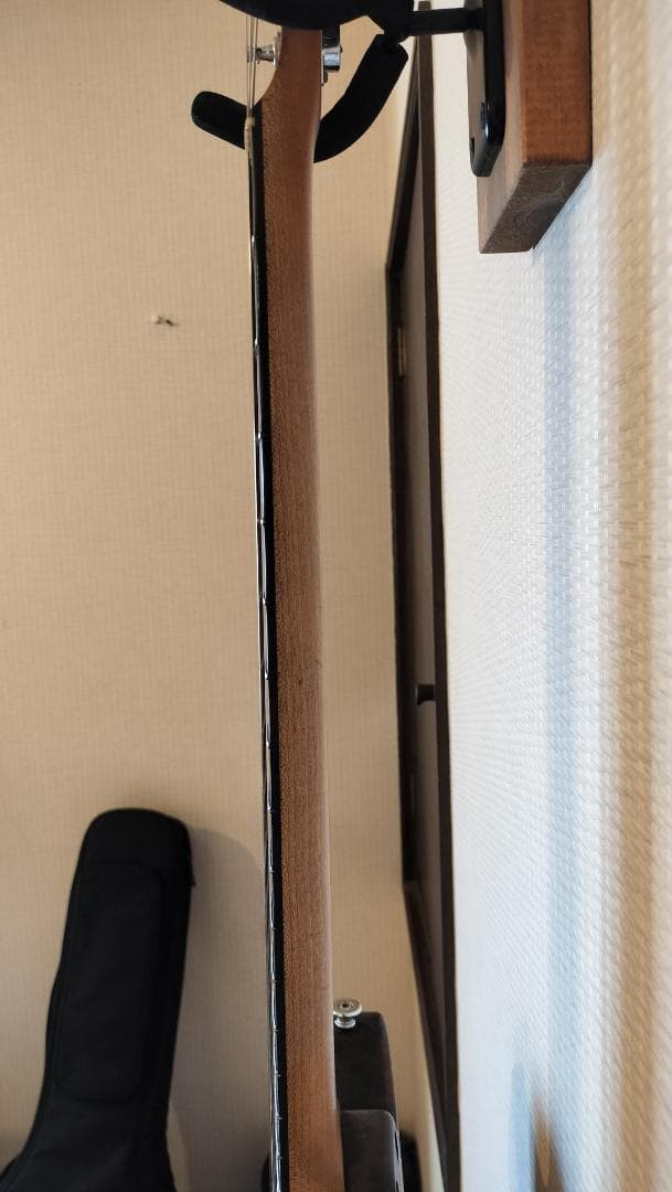 【Bacchus】T-HOLLOW テレキャスター HandmadeSeries