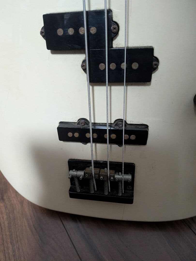 Fernandes Limited Edition　ソフトケース新品弦付きます