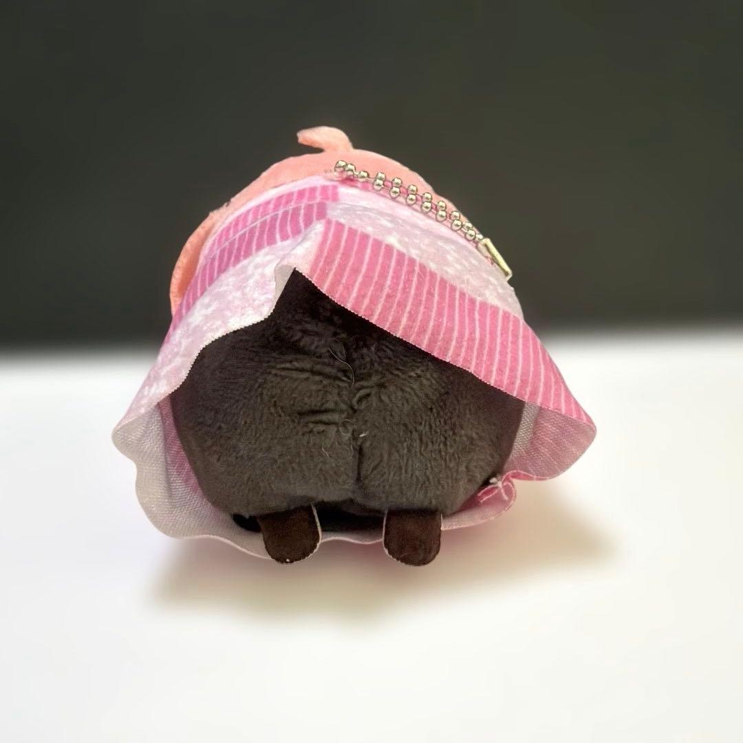 setoカラフルピーチ　のあ　アニメイト もちころりん