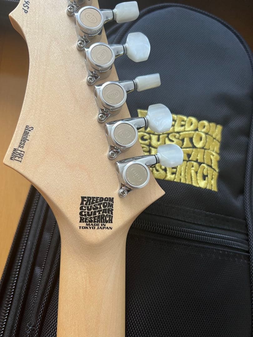 freedomcustomguitarresearchハイドラ