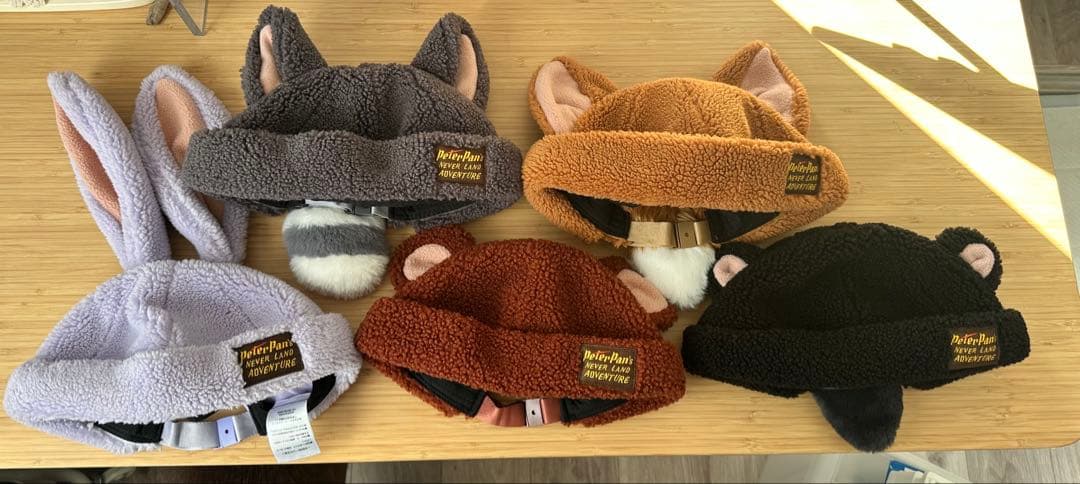 ファンタジースプリングス　ファンキャップ ロストキッズ　５点セット