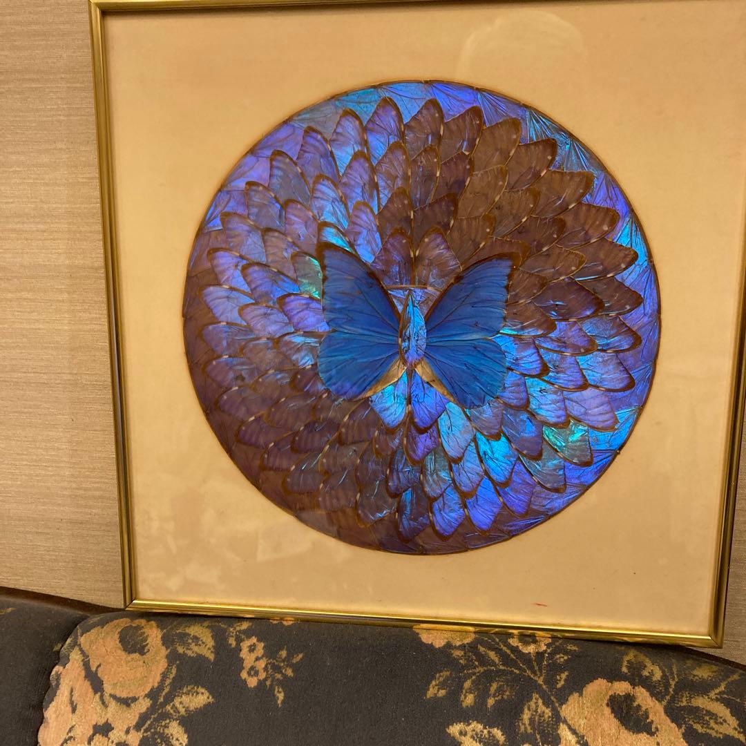 モルフォ蝶　貼り絵　アート