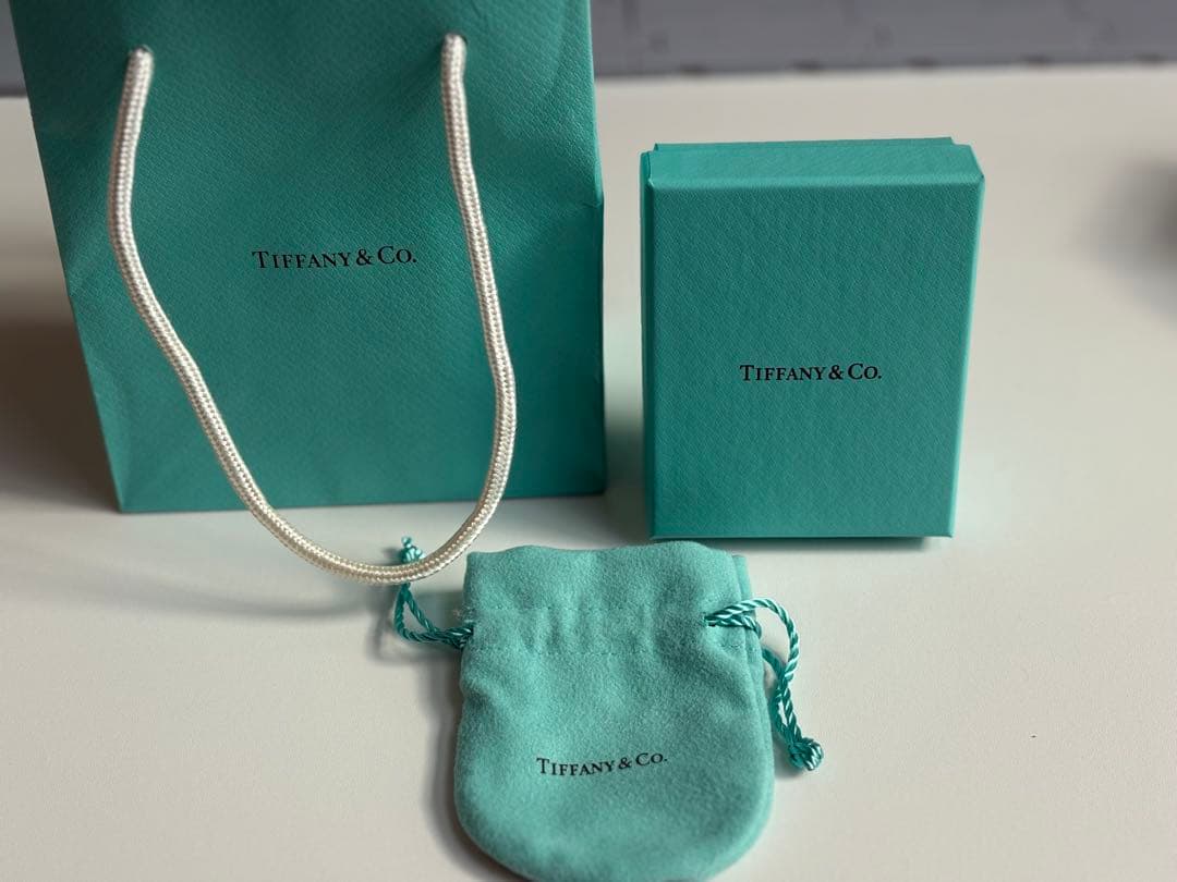 Tiffany & Co. 1837 ナローリング シルバー925 15号