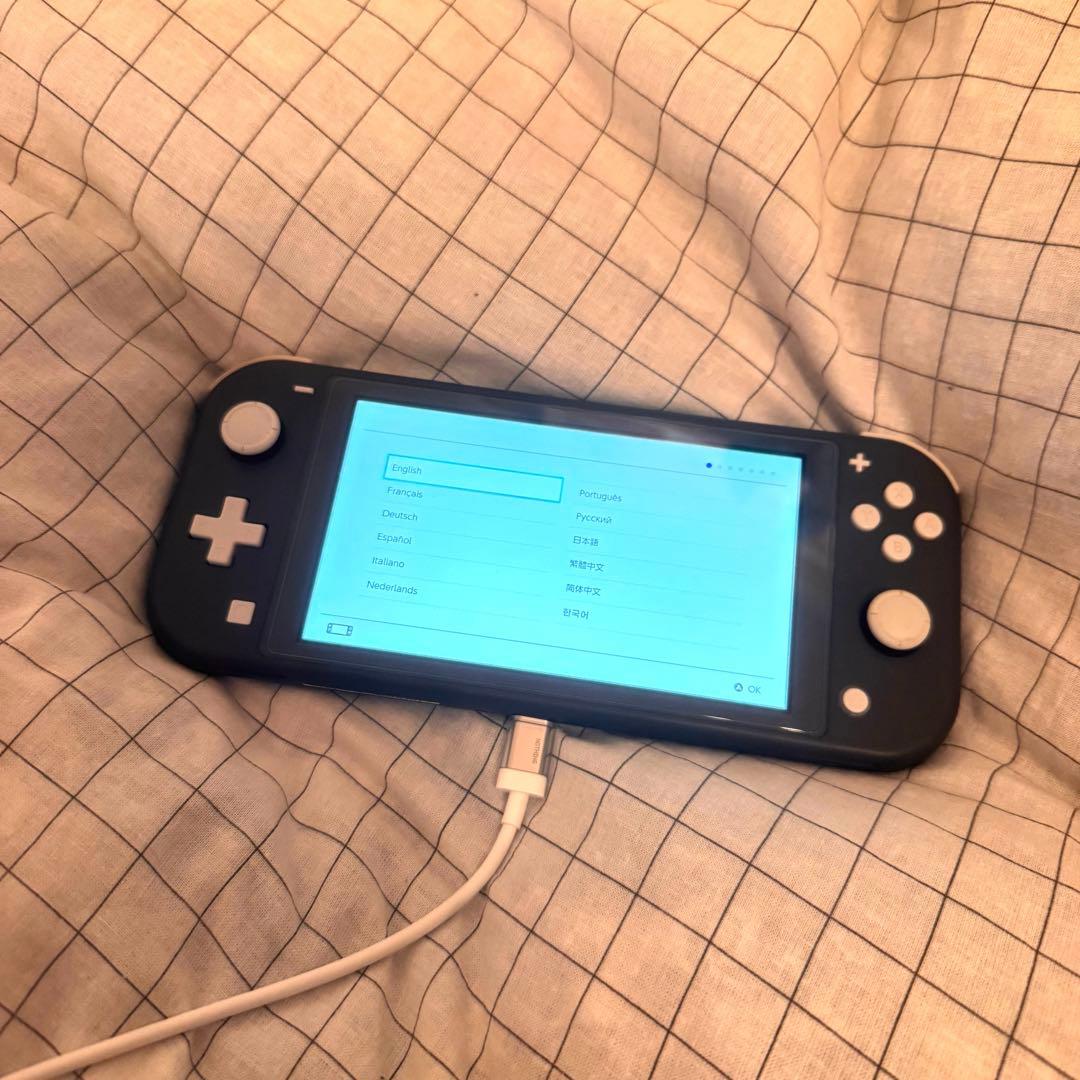 Switch lite グレー 本体・充電器のみ