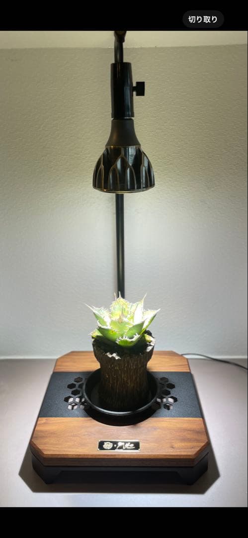 WANTKEY&H&O DS 希少植物育成ライト スタンド