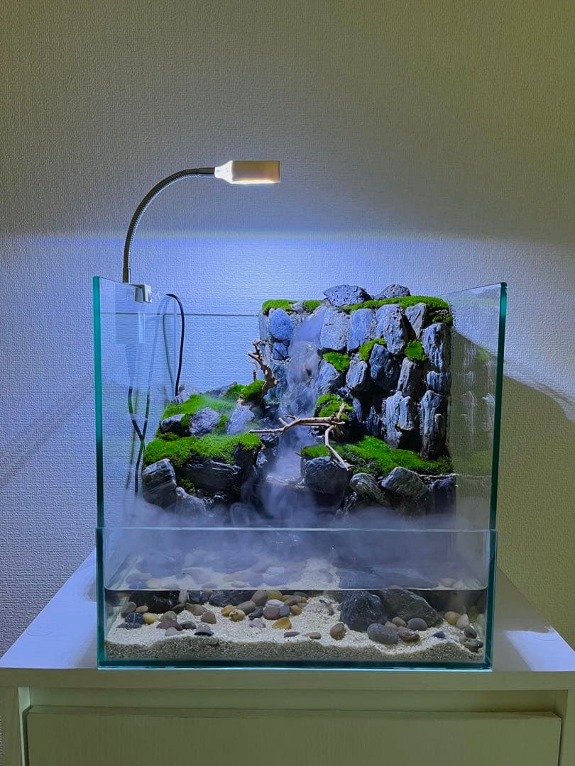 ガラス水槽 小型 水草・岩レイアウト LEDライト付き