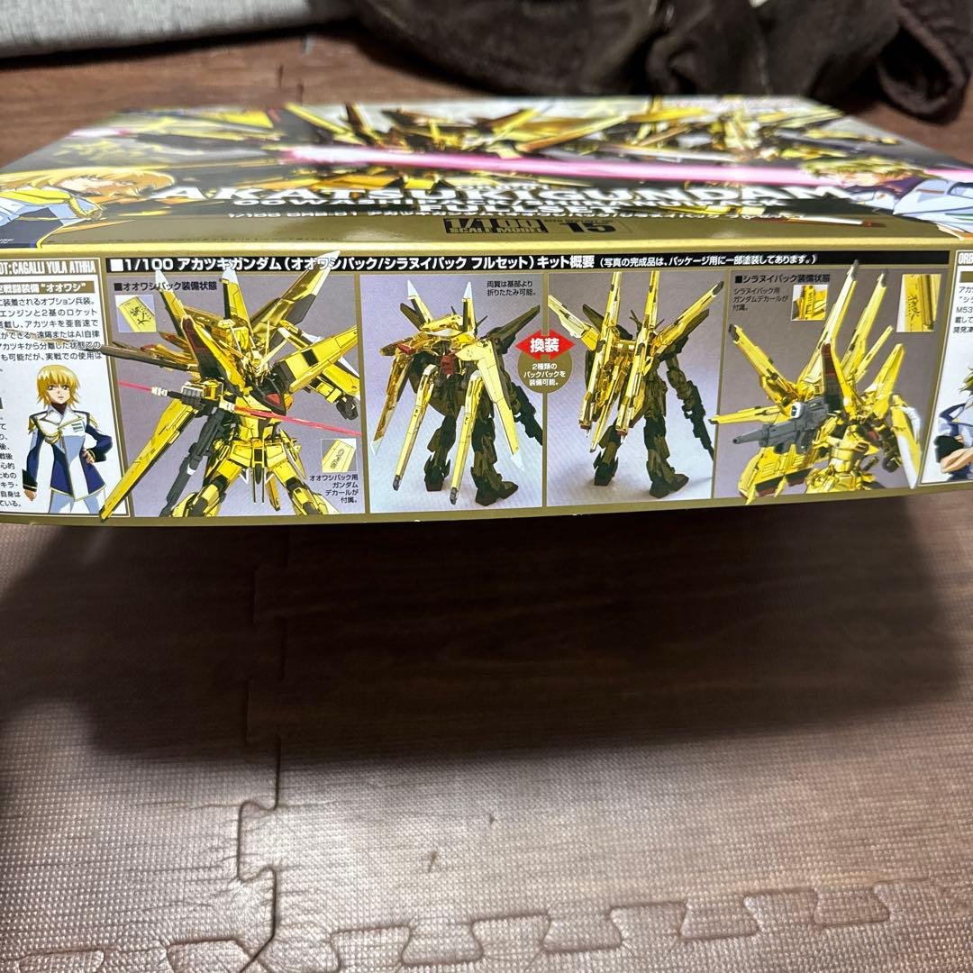 バンダイ機動戦士ガンダムSEED DESTINY 1／100 No.15 OR…