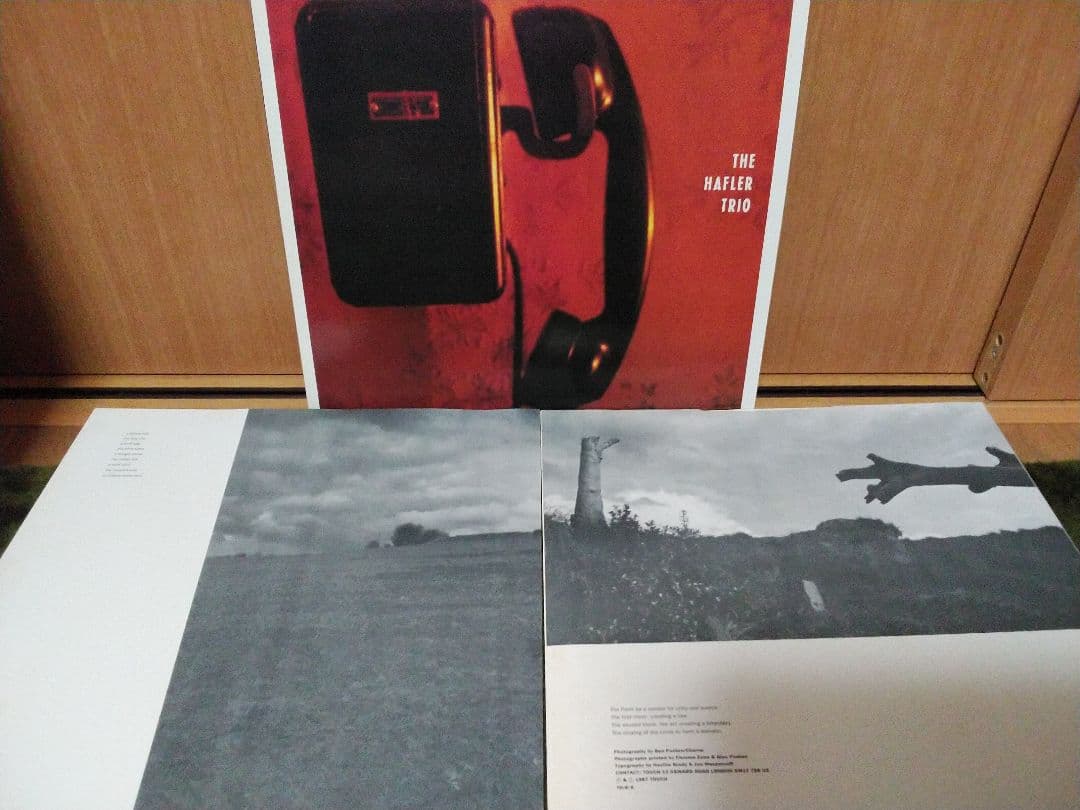 THE HAFLER TRIO．A THIRSTY FISH．レコード！