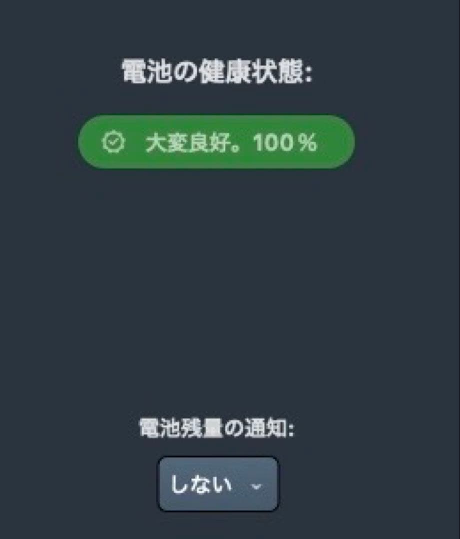 極美品　バッテリー容量100%　iPad Pro 12.9 第3世代 64GB