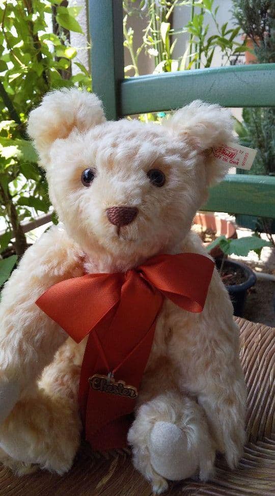 シュタイフテディベア※Steiff※チェスター※1996年製※ハムリーズ限定