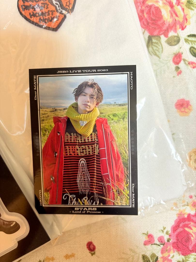 NAOTOセットHONEST HOUSE 手袋DA豹！ツアーTシャツ　三代目